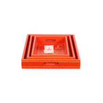 Load image into Gallery viewer, Beautiful Design Straight Orange Wood Serving Tray Quality Good
