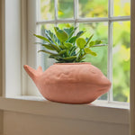 Load image into Gallery viewer, Fish Planter Pot Lifestyle
