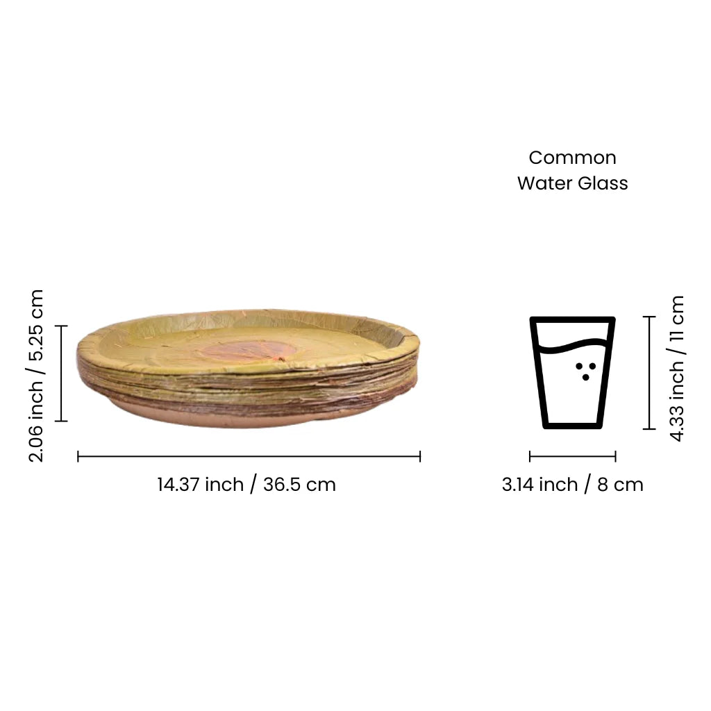 Leaf Pattal Plate